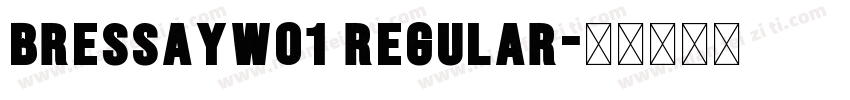 BressayW01 Regular字体转换